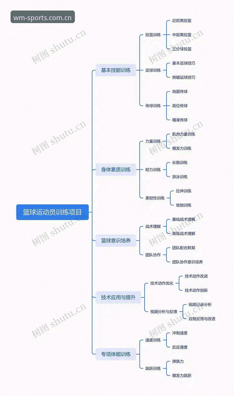完美体育官网深度分析：专业体育娱乐平台的核心价值与用户体验全解析